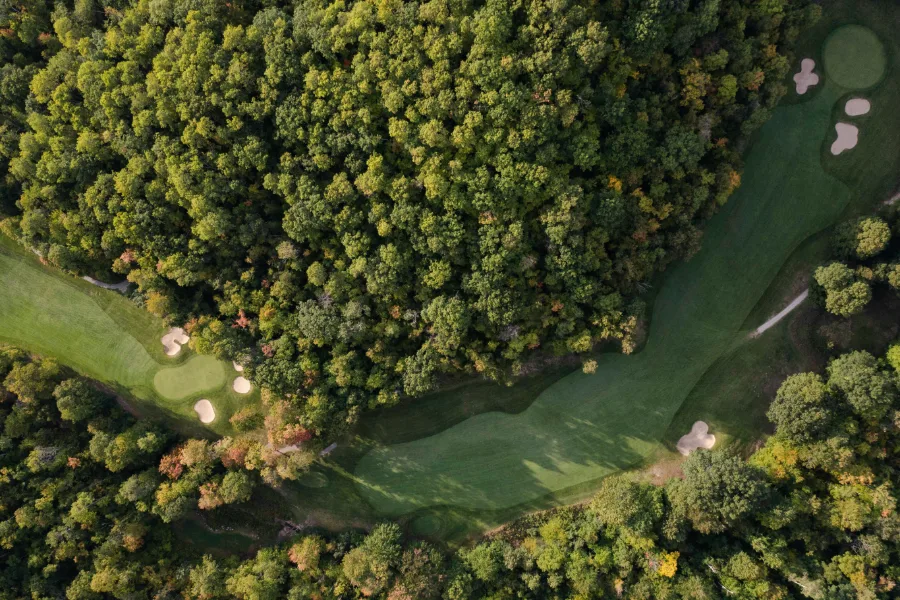 Golf fairway threading through woodland