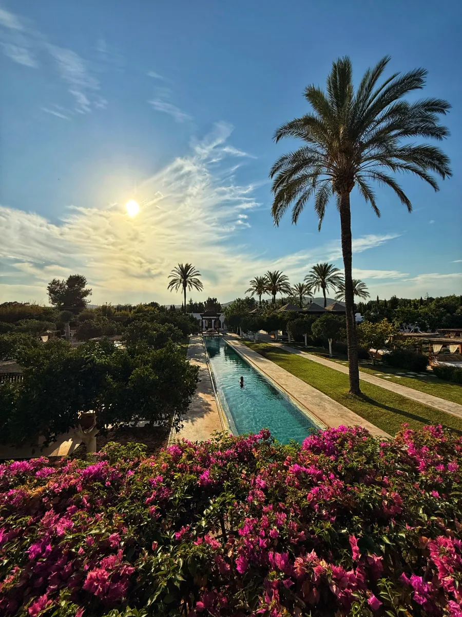Lap pool between palms and bougainvillea