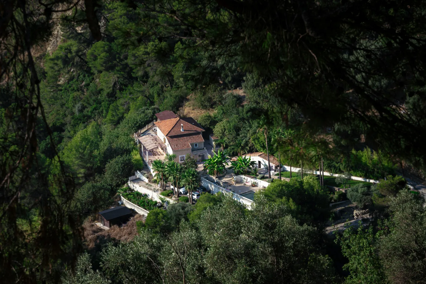Hillside villa hidden among Mediterranean pines