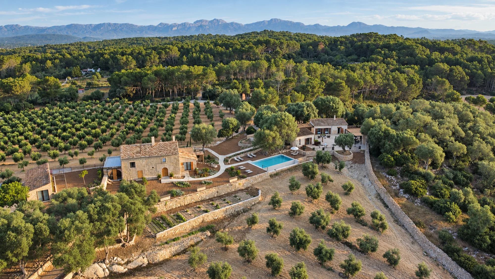 Reimagined stone estate with pool and olive groves